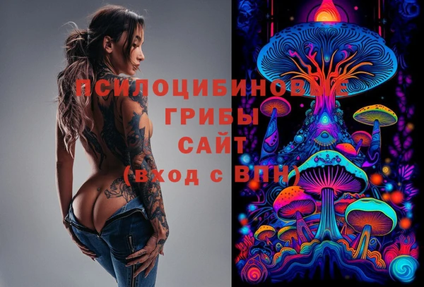винт Алзамай