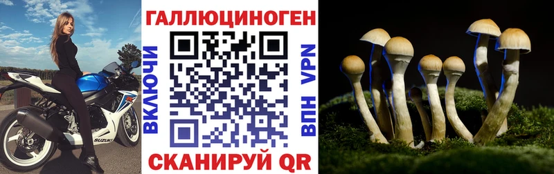 Псилоцибиновые грибы GOLDEN TEACHER Дзержинский